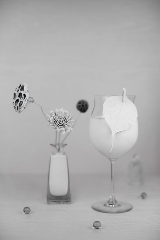 натюрморт, лотос, ликвидамбар, маргаритка Молочныйphoto preview