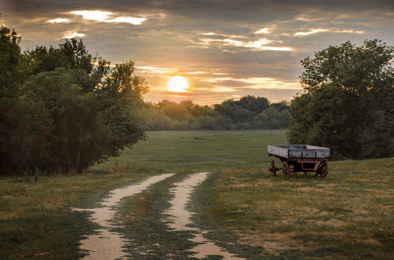 Вечер в деревне. Автор: Чурляев Максим #русь #деревня #россия #русский пейзаж #пейзажи_россии #закат, Чурляев Максим