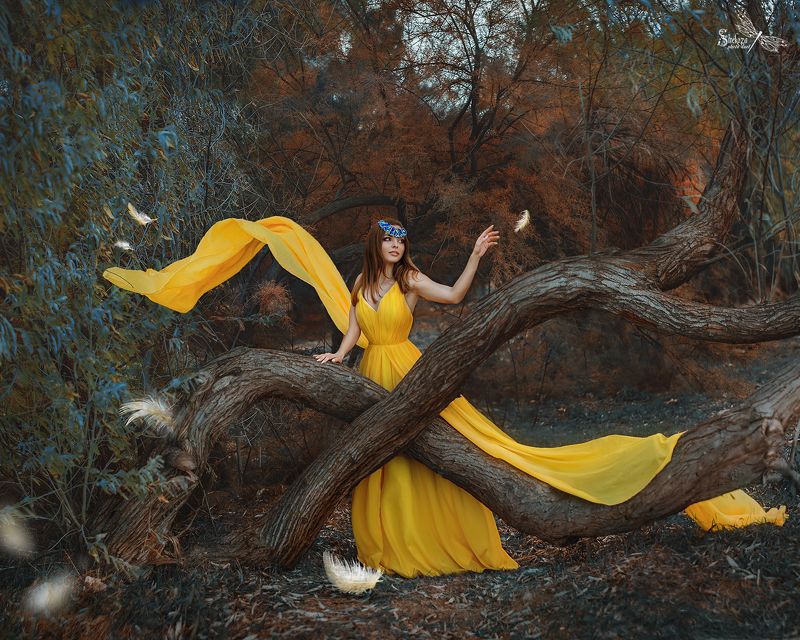 ЖЕЛТАЯ ПТИЧКАphoto preview