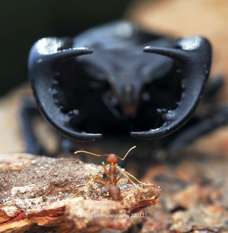 Oh! No ! Please Help Me !photo preview