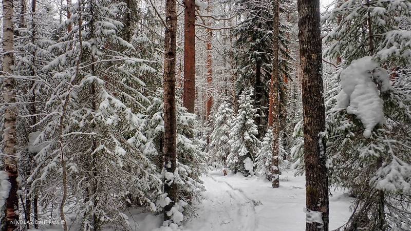 пейзаж снег марта. Северный атмосферный парк Джонатана Свифта 2022photo preview