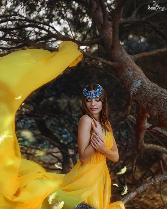 ЖЕЛТАЯ ПТИЧКАphoto preview