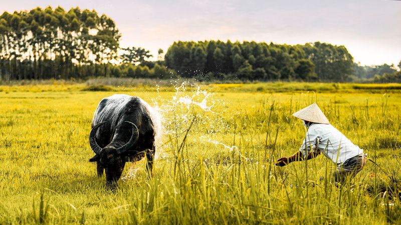 sắc màuphoto preview