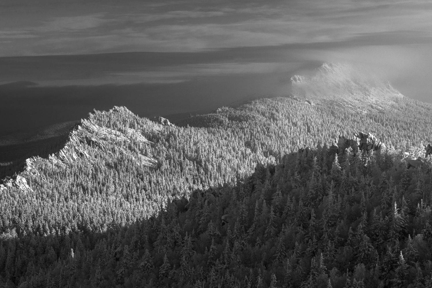 , Андрей Шарапов