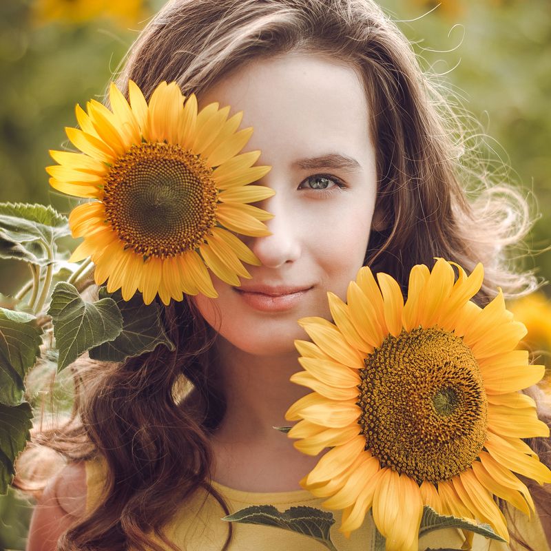 Подсолнухиphoto preview