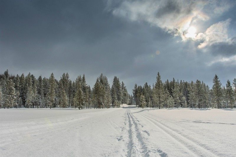 Новая лыжняphoto preview