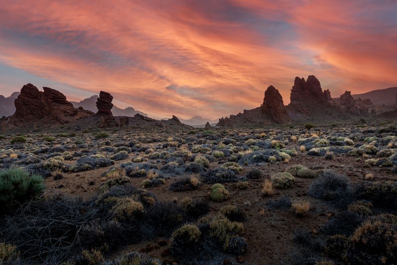 Пейзажиphoto preview