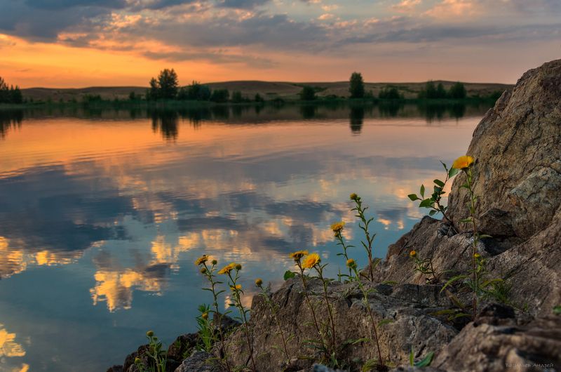 девясил мечелистный, ириклинское водохранилище, река сундук, вечер, закат ***photo preview