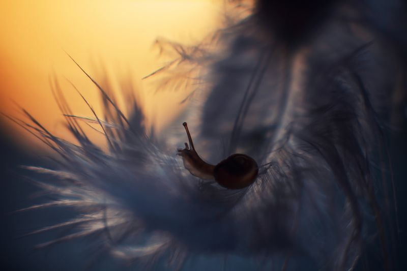 На закате фото превью