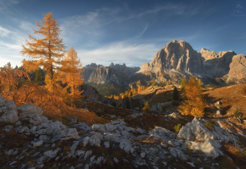 Tofana di Rozesphoto preview