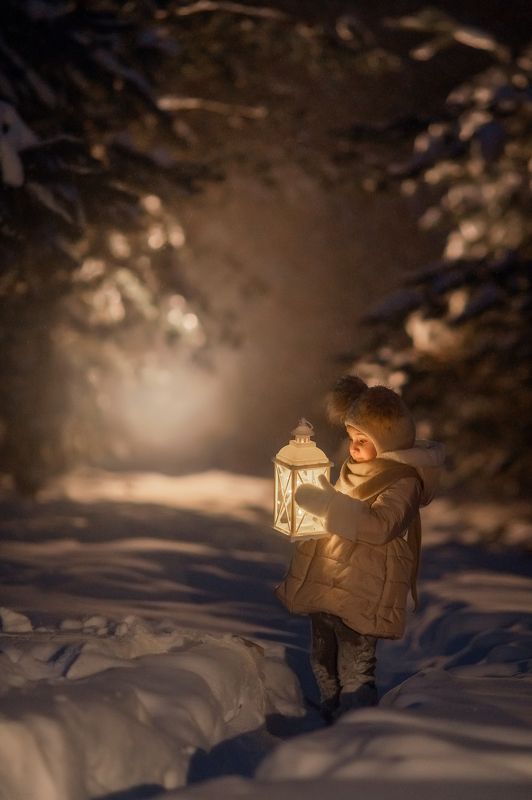 Плещеево озеро, фотограф Переславль-Залесский, вечерняя фотосъёмка в Переславле. Зима в Переславле. В сказочном лесу Преславля-Залесского.photo preview