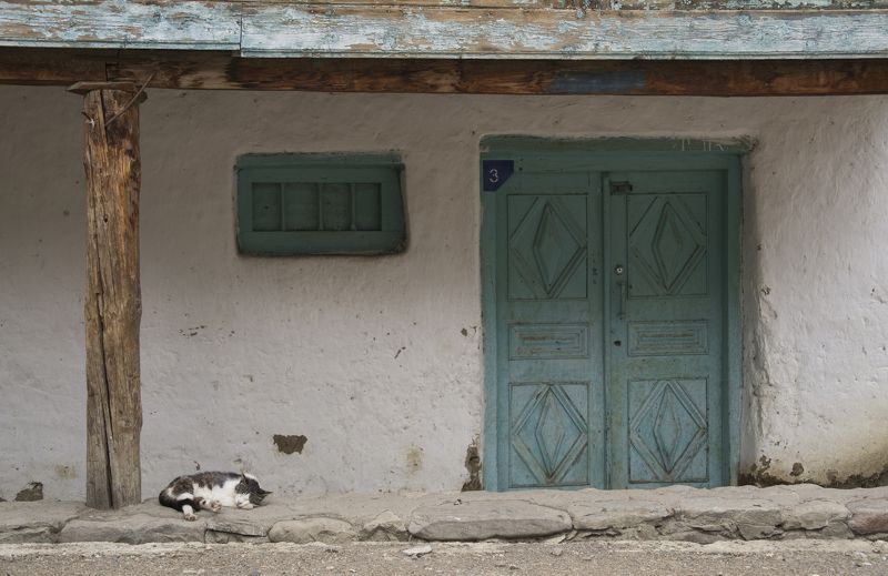 кот, дом, сон, покой, день, тень, кавказ, дагестан, корода, село, стена, дверь, окно Сон в тениphoto preview