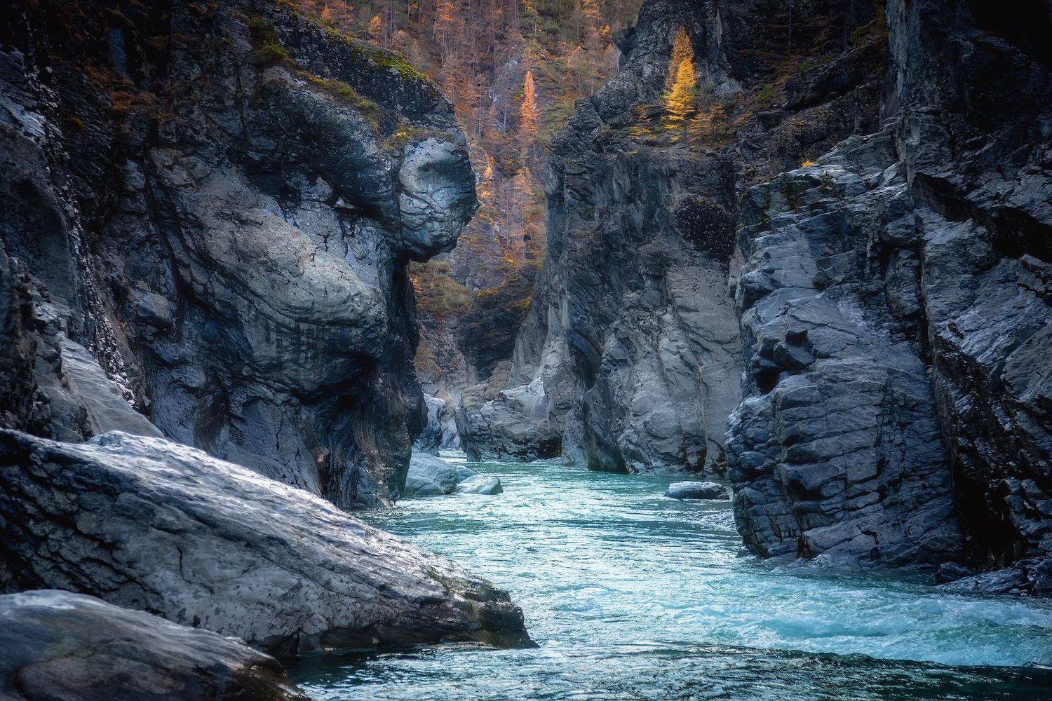 , Павел Глушков