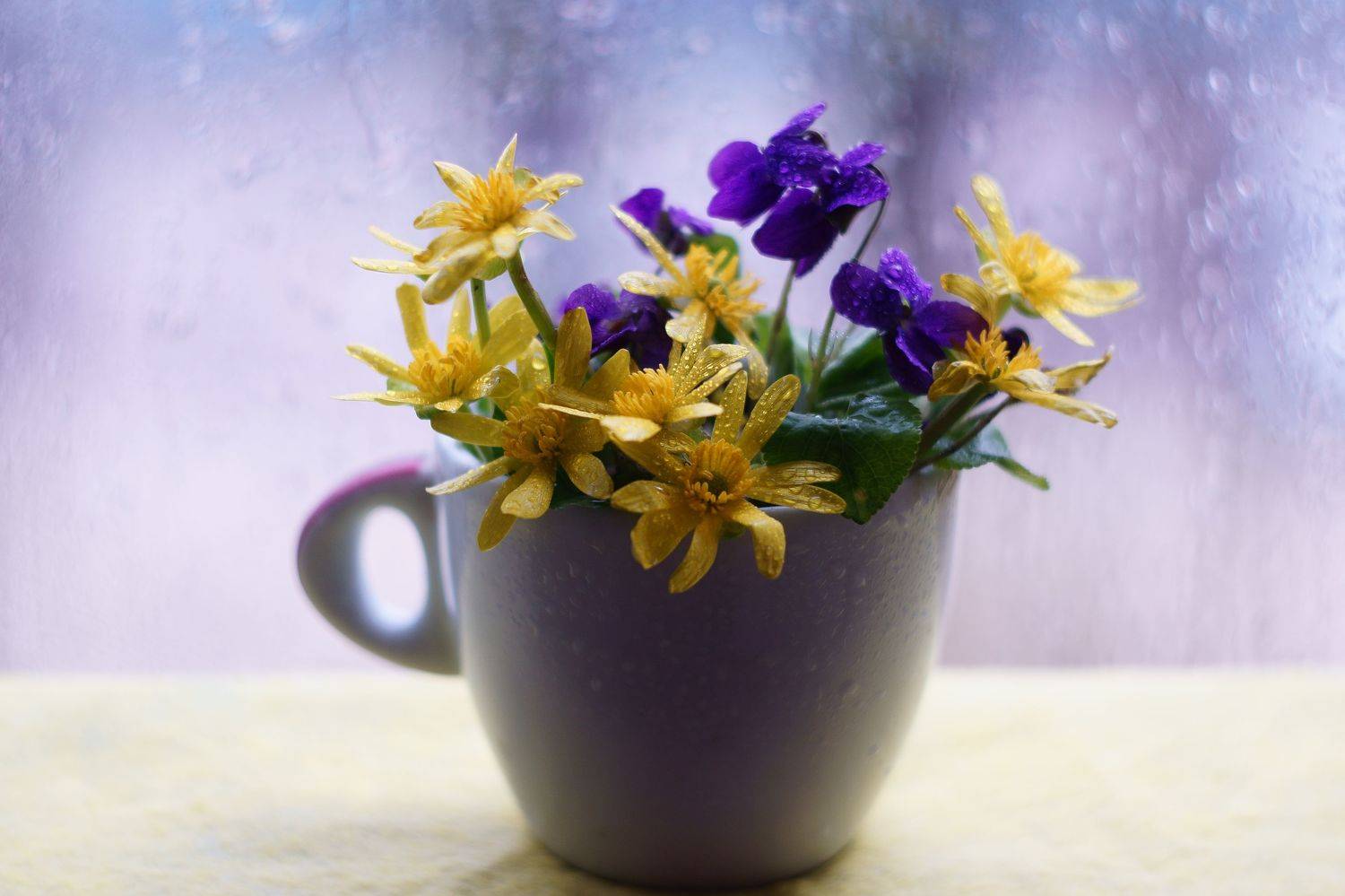 Весеннее .... Автор: Марина Соколова , Марина Соколова