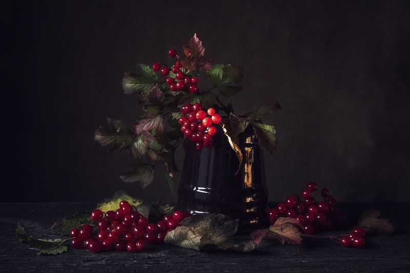 Калинаphoto preview