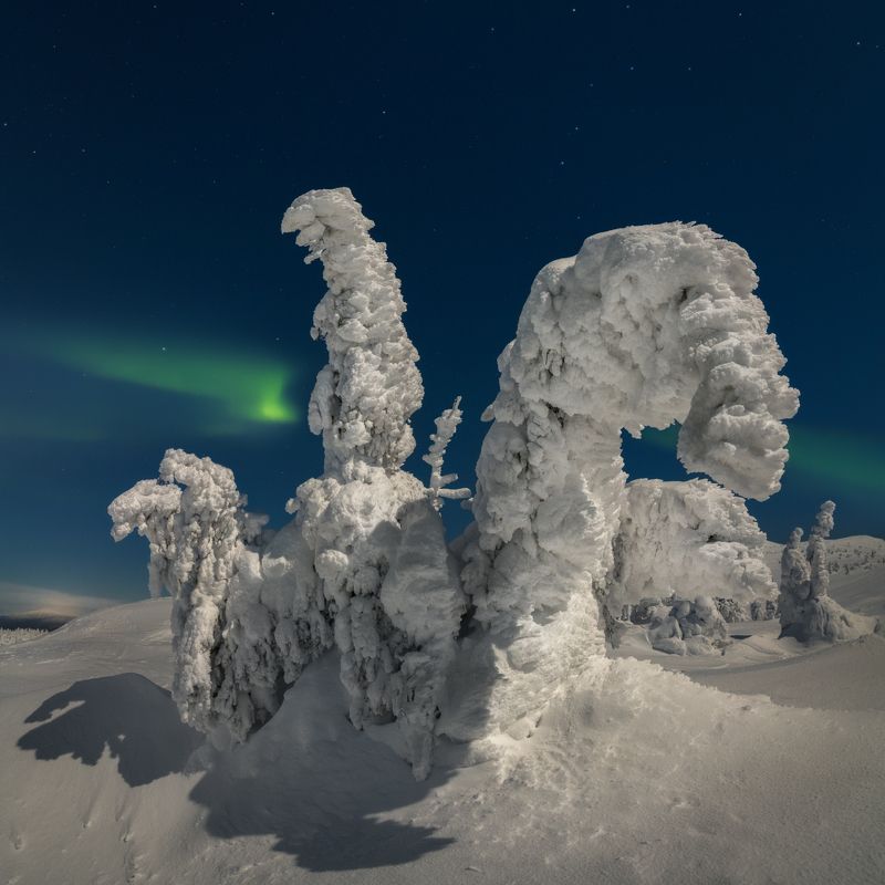 кольский Снежные монстрыphoto preview