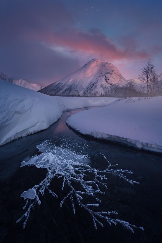 север, кольский, лес, зима, хибины, река Хребет Поачвумчоррphoto preview
