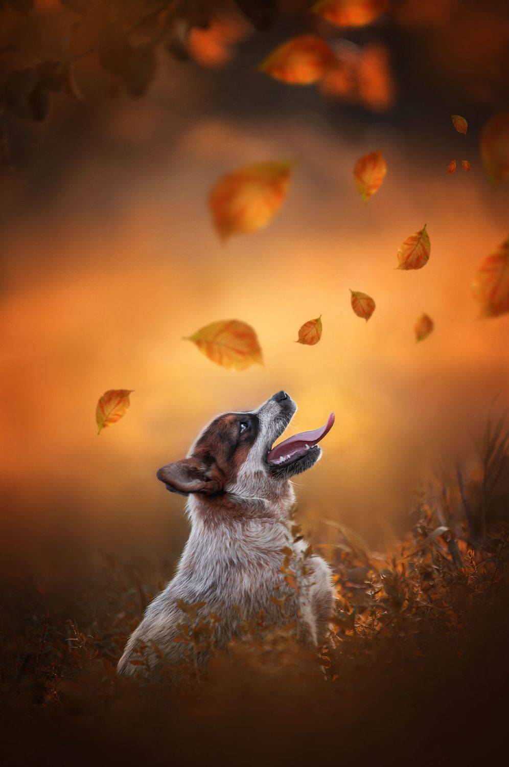 , Юлия Гончар