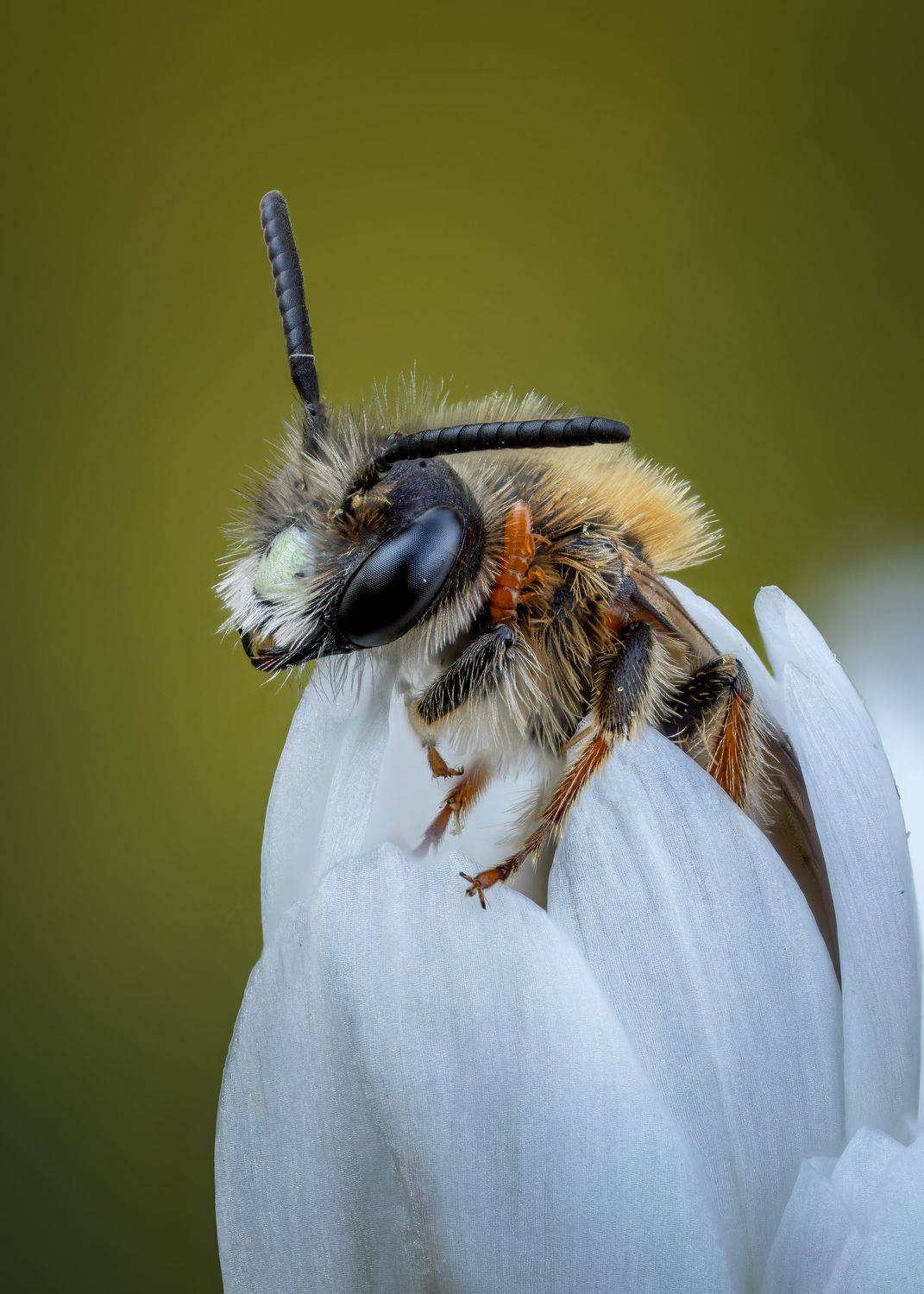 Автор: Andrey Ostapenko , Andrey Ostapenko