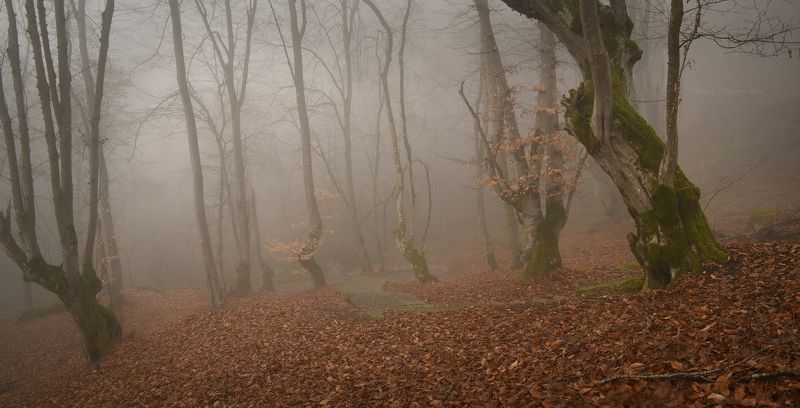 туман, кбр, кизиловка, панорама Туманный декабрьphoto preview