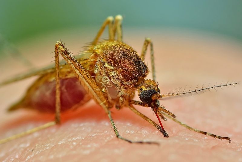 Вот так вот мы питаемся   .  .  .photo preview