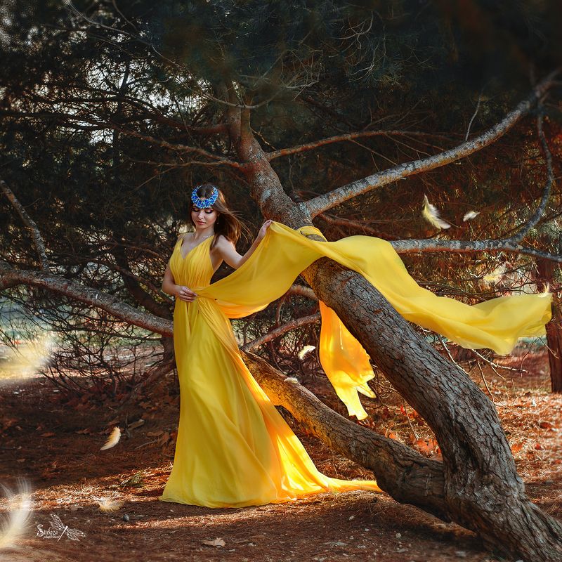 ЖЕЛТАЯ ПТИЧКАphoto preview