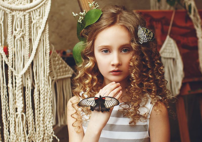 бабочки фото превью