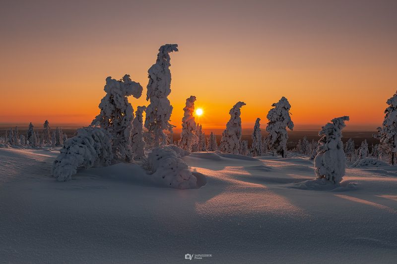 якутия, зима, закат, снег, деревья, лес, тайга, дальний восток, сибирь, мороз Стражи зимыphoto preview