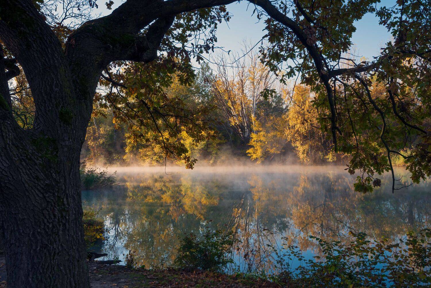 , Алексей Рыльский