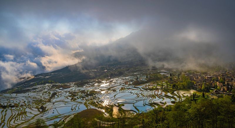 Terracephoto preview