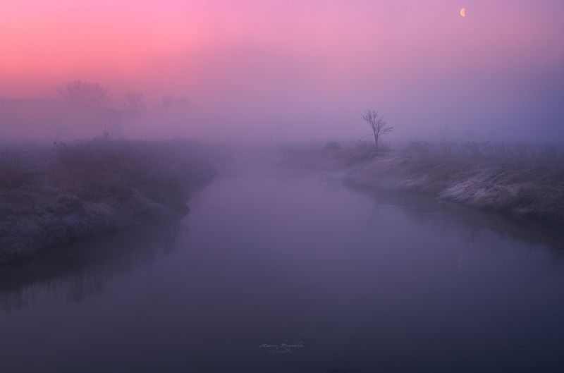 Poranne mgłyphoto preview