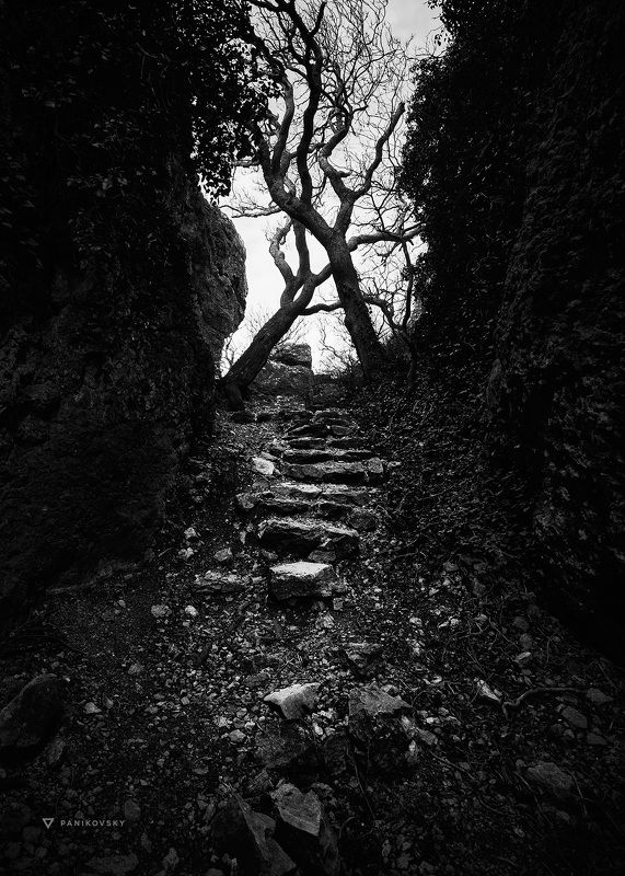 Крым, пейзаж, тропа, скалы Дорога Тавровphoto preview