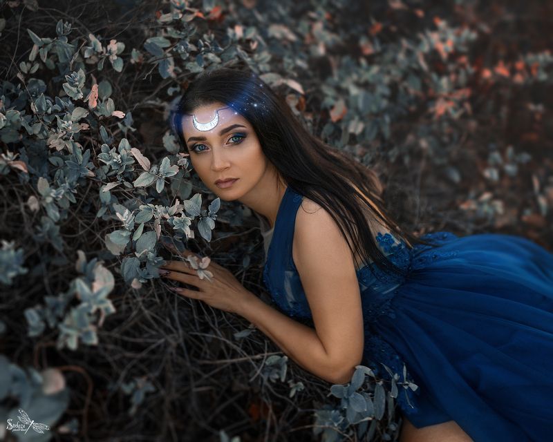 FAIRY NIGHT photo preview