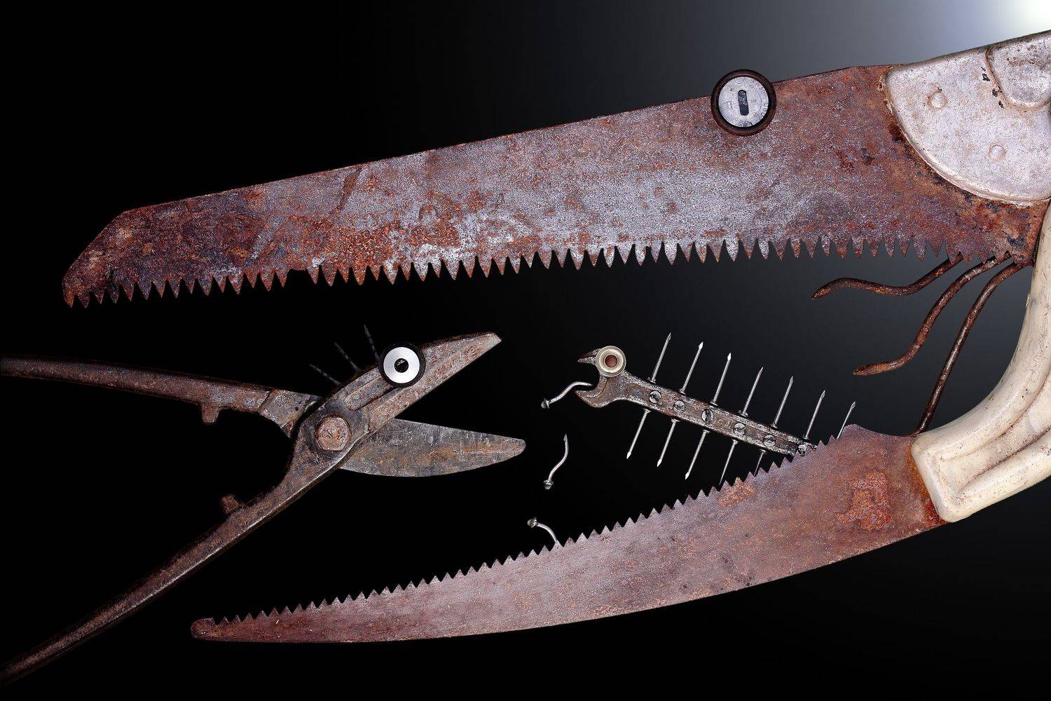 Выживание.... Автор: Дмитрий Салтыков концепция, инсталляция, инструменты, сильнейший, concept, installation, instruments, tools, survive, survival, strongest, Дмитрий Салтыков