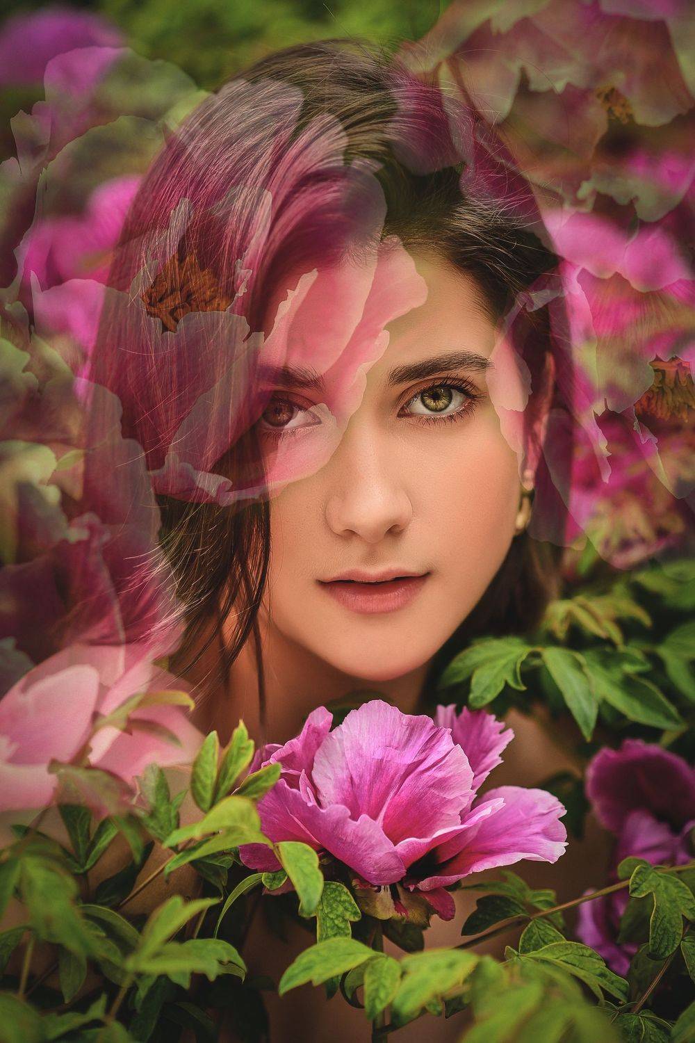 , Анастасия Донская