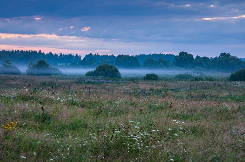 природа, пейзаж, туман, рассвет, лето Хмурый рассветphoto preview