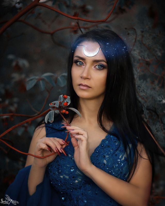 FAIRY NIGHT photo preview