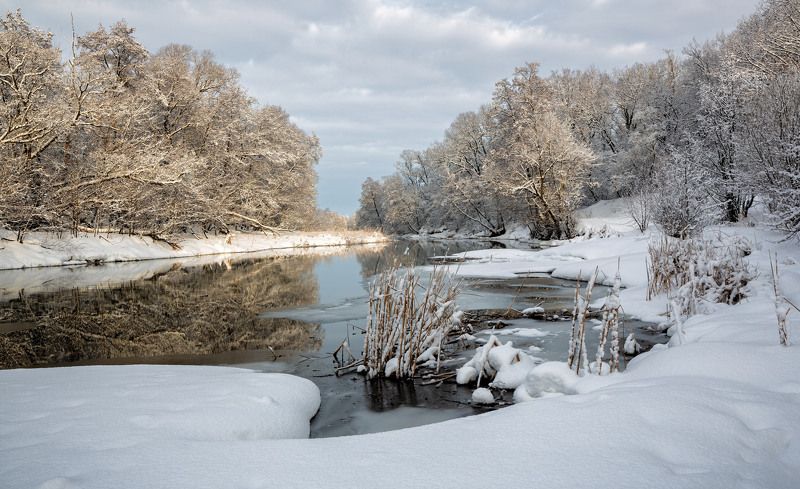 Февральphoto preview