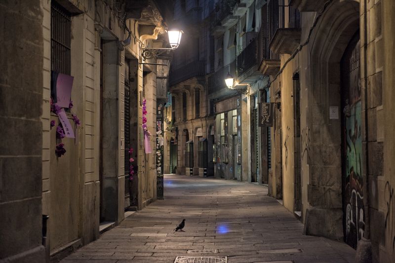 Barcelonaphoto preview