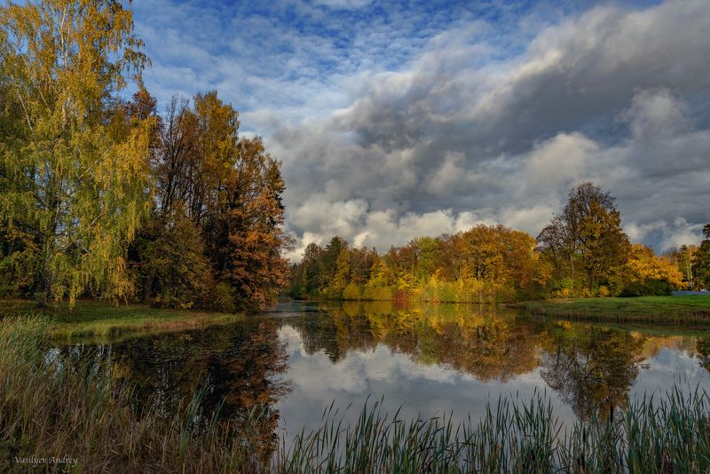 осень, парк, павловский парк, павловск, небо, облака В парке на прудуphoto preview