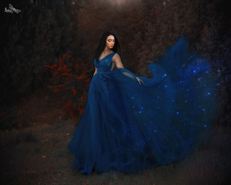 FAIRY NIGHT photo preview