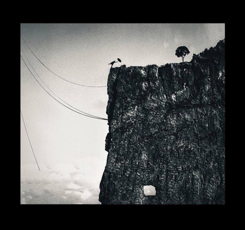 арт,чб,силуэт На волоскеphoto preview