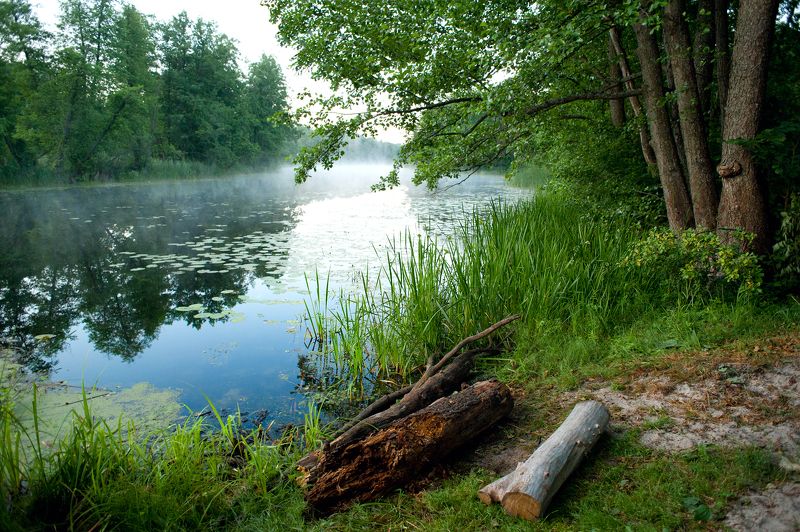 усманка, воронежская область, рамонь Усманка в нежной дымкеphoto preview