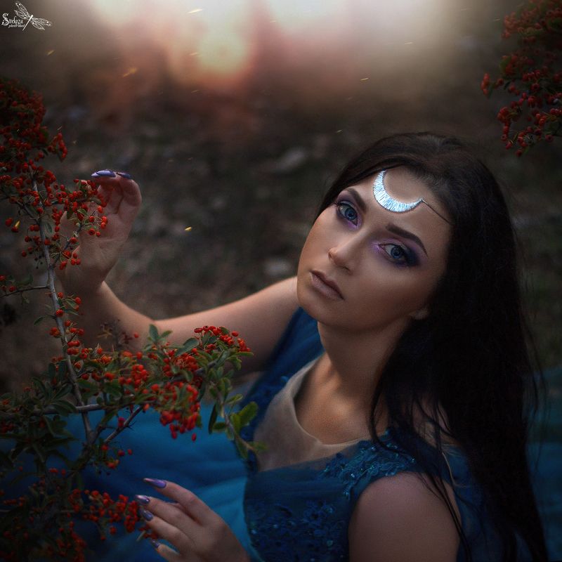 FAIRY NIGHT photo preview