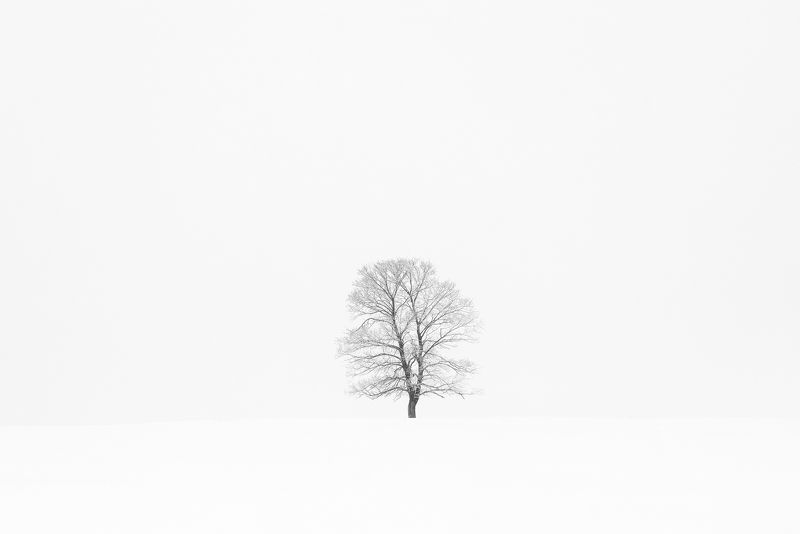 Всегда одинphoto preview