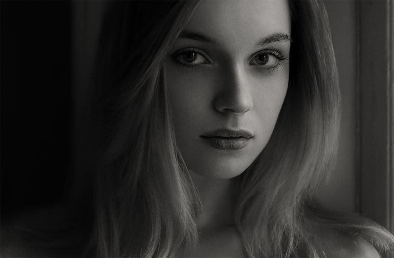 Теди фото превью