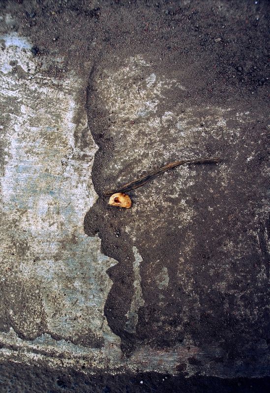 pareidolia ***photo preview