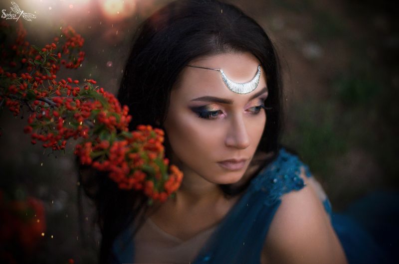 FAIRY NIGHT photo preview