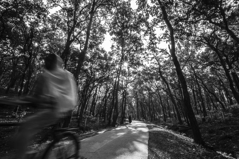 street, rider, ghost rider, blur, blurred, motion Ghost Riderphoto preview