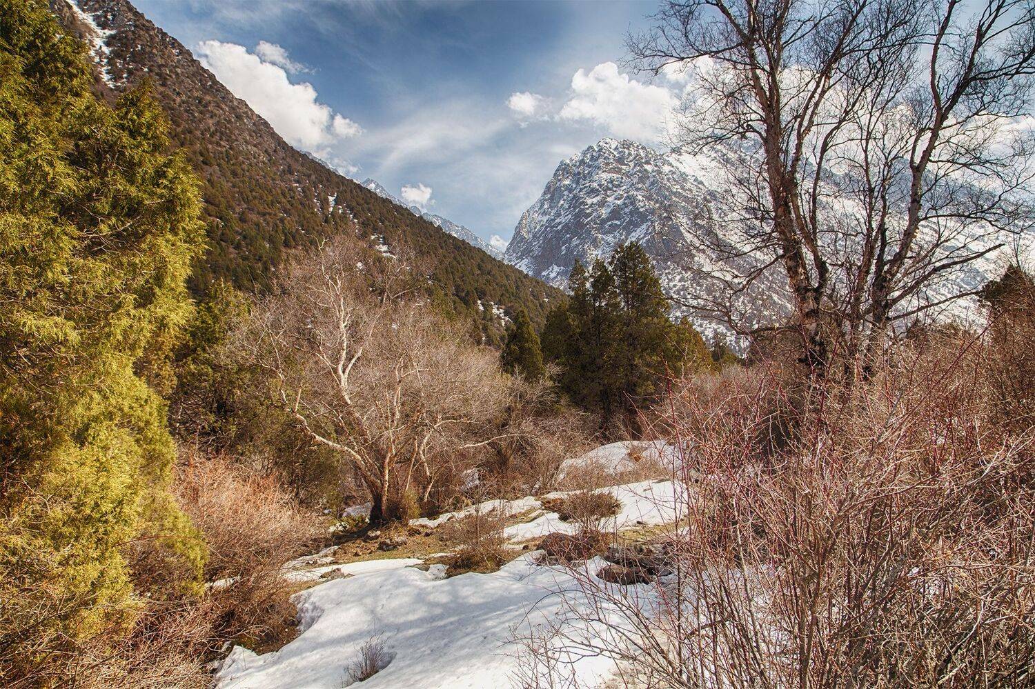 Апрельские зарисовки. Автор: Элина Магалимова кыргызстан,горы, Элина Магалимова